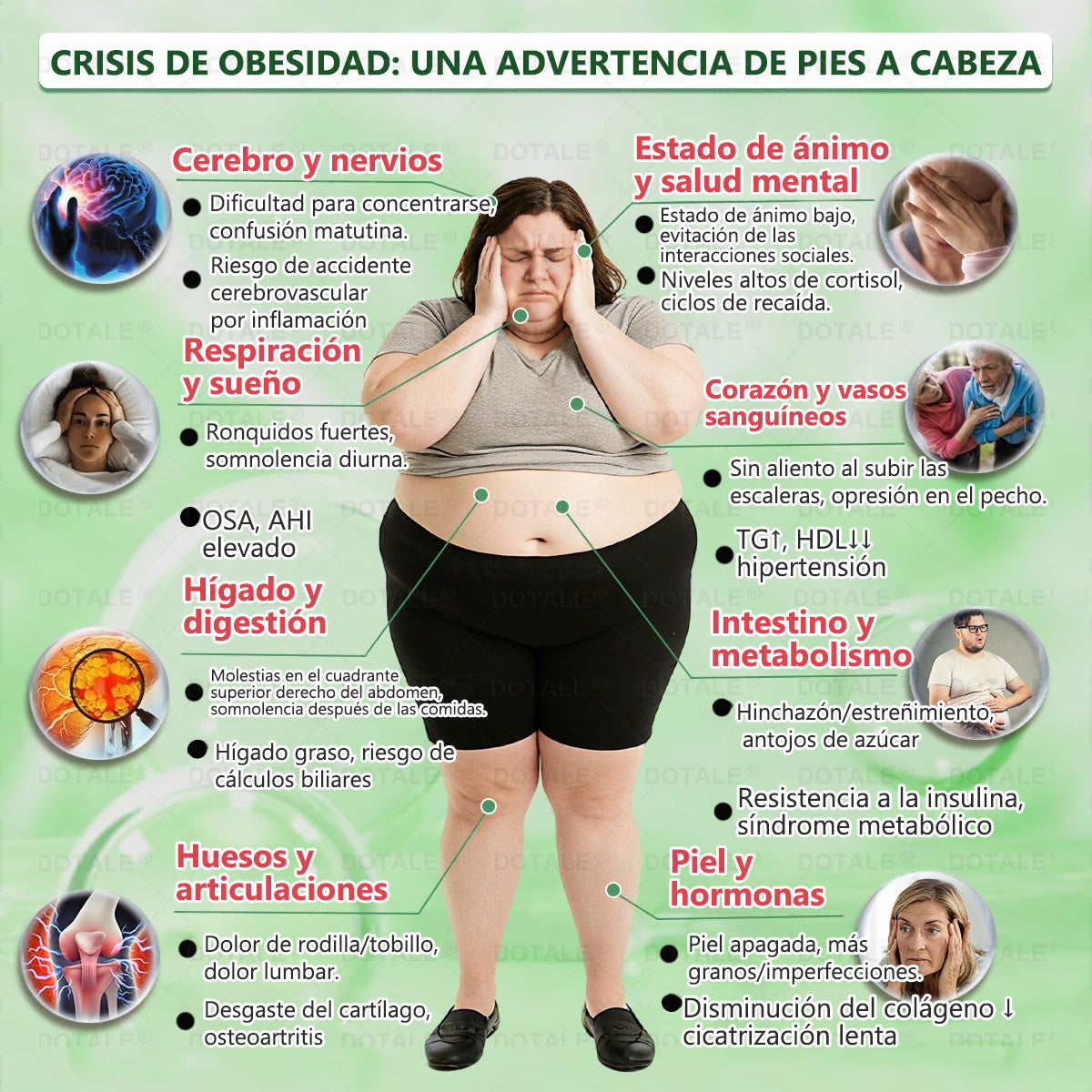 𝑫𝑶𝑻𝑨𝑳𝑬® Parche de Microagujas Nano Avanzado 10 en 1 con Moringa, Berberina y NAD+(𝐒𝐨𝐥𝐨 𝐮𝐧𝐚 𝐯𝐞𝐳 𝐚𝐥 𝐝í𝐚, 𝐜𝐚𝐦𝐛𝐢𝐨𝐬 𝐯𝐢𝐬𝐢𝐛𝐥𝐞𝐬 𝐞𝐧 𝟕 𝐝í𝐚𝐬) ✅ 𝐏𝐚𝐫𝐚 𝐨𝐛𝐞𝐬𝐢𝐝𝐚𝐝, 𝐏𝐈𝐄𝐋 𝐅𝐋𝐎́𝐂𝐈𝐃𝐀, 𝐝𝐢𝐚𝐛𝐞𝐭𝐞𝐬, 𝐚𝐩𝐧𝐞𝐚 𝐝𝐞𝐥 𝐬𝐮𝐞ñ𝐨, 𝐩𝐫𝐨𝐛𝐥𝐞𝐦𝐚𝐬 𝐚𝐫𝐭𝐢𝐜𝐮𝐥𝐚𝐫𝐞𝐬 𝐲 𝐦á𝐬