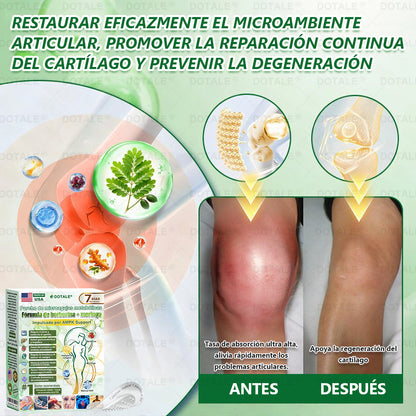 𝑫𝑶𝑻𝑨𝑳𝑬® Parche de Microagujas Nano Avanzado 10 en 1 con Moringa, Berberina y NAD+(𝐒𝐨𝐥𝐨 𝐮𝐧𝐚 𝐯𝐞𝐳 𝐚𝐥 𝐝í𝐚, 𝐜𝐚𝐦𝐛𝐢𝐨𝐬 𝐯𝐢𝐬𝐢𝐛𝐥𝐞𝐬 𝐞𝐧 𝟕 𝐝í𝐚𝐬) ✅ 𝐏𝐚𝐫𝐚 𝐨𝐛𝐞𝐬𝐢𝐝𝐚𝐝, 𝐏𝐈𝐄𝐋 𝐅𝐋𝐎́𝐂𝐈𝐃𝐀, 𝐝𝐢𝐚𝐛𝐞𝐭𝐞𝐬, 𝐚𝐩𝐧𝐞𝐚 𝐝𝐞𝐥 𝐬𝐮𝐞ñ𝐨, 𝐩𝐫𝐨𝐛𝐥𝐞𝐦𝐚𝐬 𝐚𝐫𝐭𝐢𝐜𝐮𝐥𝐚𝐫𝐞𝐬 𝐲 𝐦á𝐬
