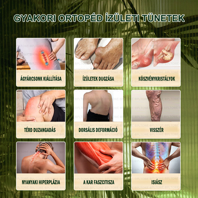 PLTOWE® Arnebia Ízületi és Csontfájdalom Enyhítő Krém (AAOS ajánlja)